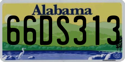AL license plate 66DS313