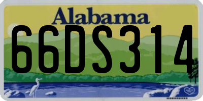 AL license plate 66DS314