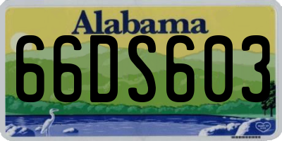AL license plate 66DS603
