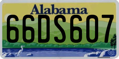 AL license plate 66DS607