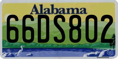 AL license plate 66DS802