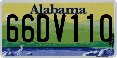AL license plate 66DV110