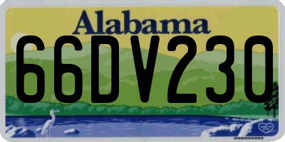 AL license plate 66DV230