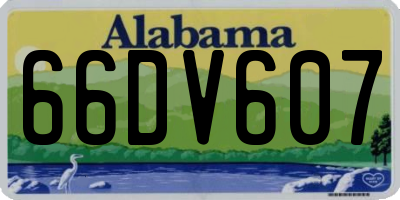 AL license plate 66DV607