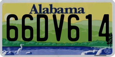 AL license plate 66DV614