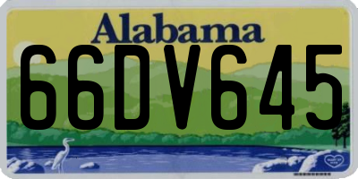 AL license plate 66DV645