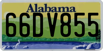 AL license plate 66DV855