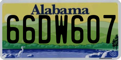 AL license plate 66DW607