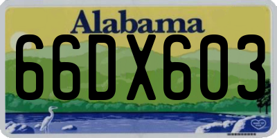 AL license plate 66DX603