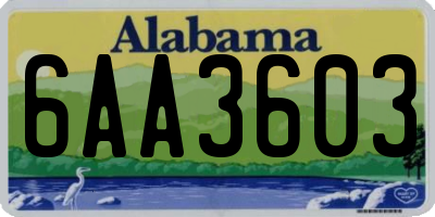 AL license plate 6AA3603