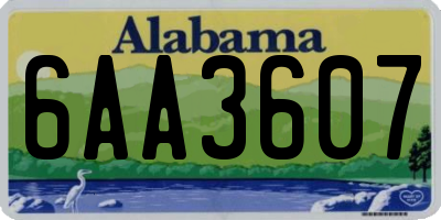 AL license plate 6AA3607
