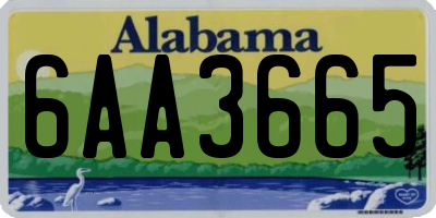 AL license plate 6AA3665