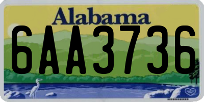 AL license plate 6AA3736