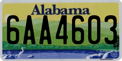 AL license plate 6AA4603