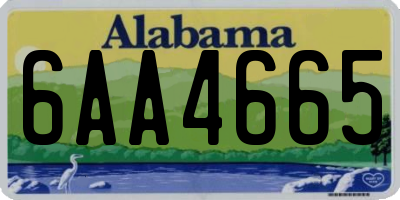 AL license plate 6AA4665