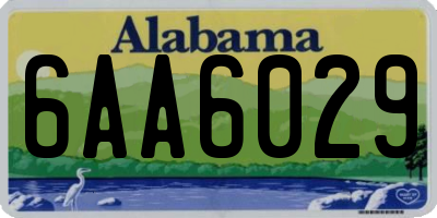 AL license plate 6AA6029