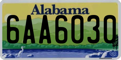 AL license plate 6AA6030