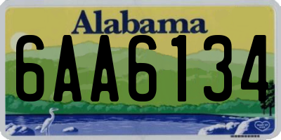 AL license plate 6AA6134
