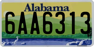 AL license plate 6AA6313