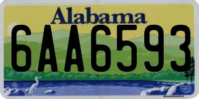 AL license plate 6AA6593