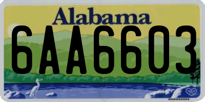 AL license plate 6AA6603