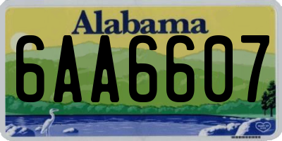 AL license plate 6AA6607