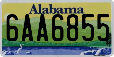 AL license plate 6AA6855