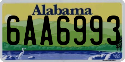AL license plate 6AA6993