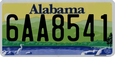 AL license plate 6AA8541