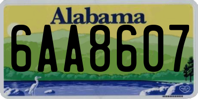AL license plate 6AA8607