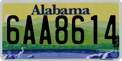 AL license plate 6AA8614