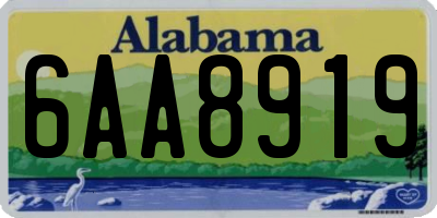 AL license plate 6AA8919