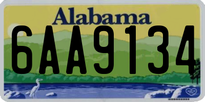 AL license plate 6AA9134
