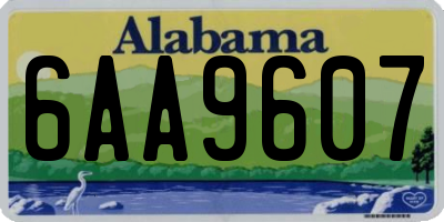 AL license plate 6AA9607