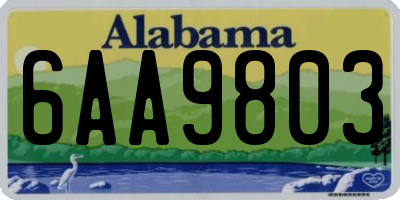 AL license plate 6AA9803