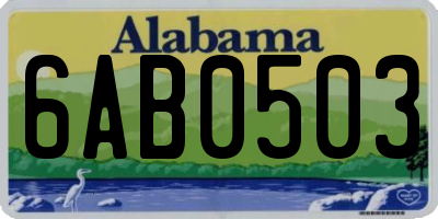 AL license plate 6AB0503