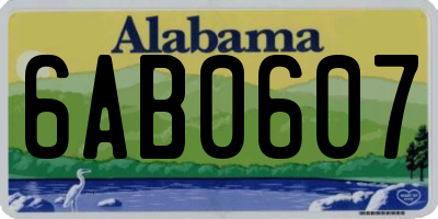 AL license plate 6AB0607