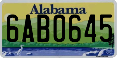 AL license plate 6AB0645