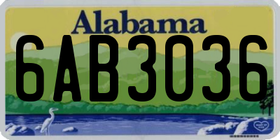 AL license plate 6AB3036