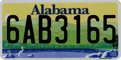 AL license plate 6AB3165