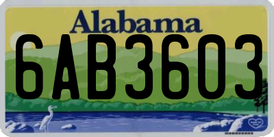 AL license plate 6AB3603