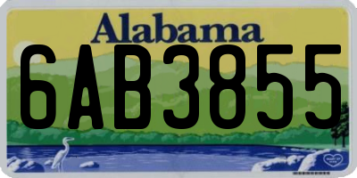 AL license plate 6AB3855