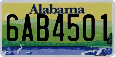 AL license plate 6AB4501