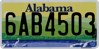 AL license plate 6AB4503