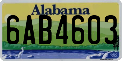 AL license plate 6AB4603