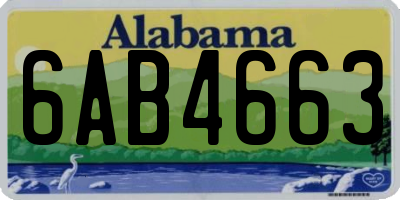 AL license plate 6AB4663