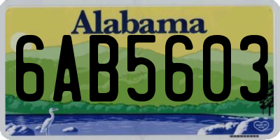 AL license plate 6AB5603