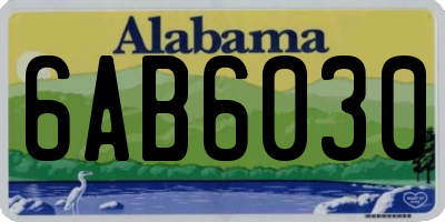 AL license plate 6AB6030