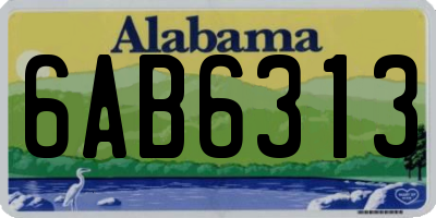 AL license plate 6AB6313