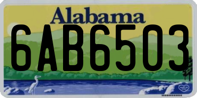 AL license plate 6AB6503